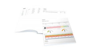 Rapport SANTE